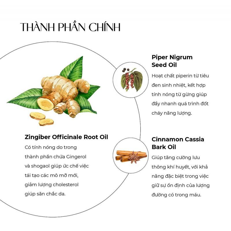 Kem tan mỡ bụng Truesky S Body Cream