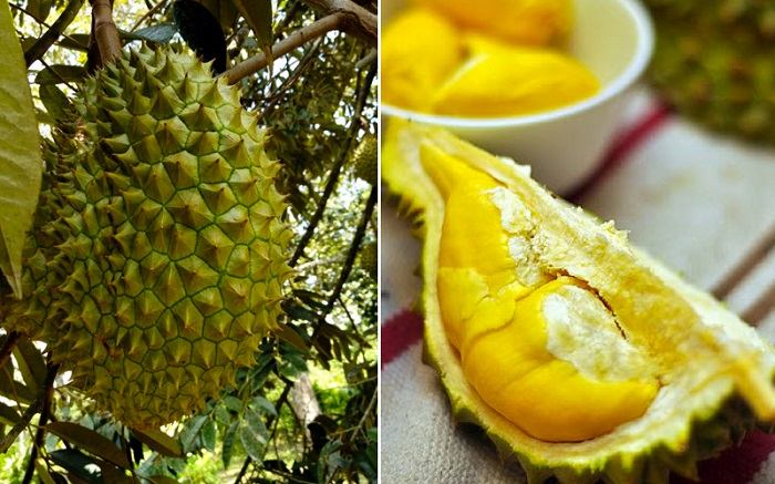 Kem vị sầu riêng rất ngon