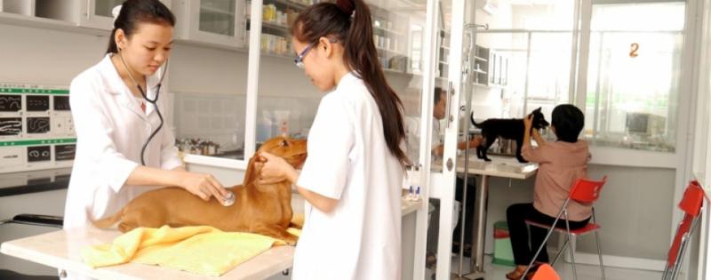Khách sạn Thú Cưng