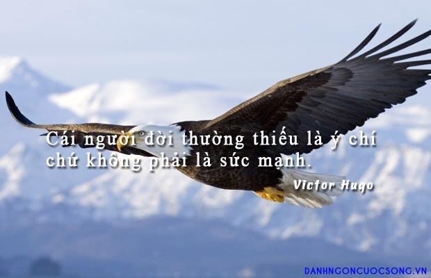 Khám phá cách sử dụng ý chí của mình để đạt được mục tiêu