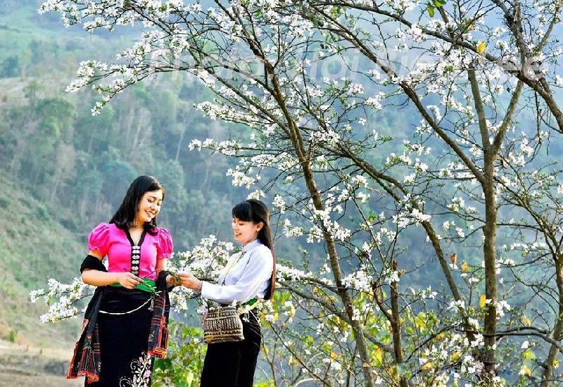 Khám phá Điện Biên qua lễ hội và ẩm thực địa phương