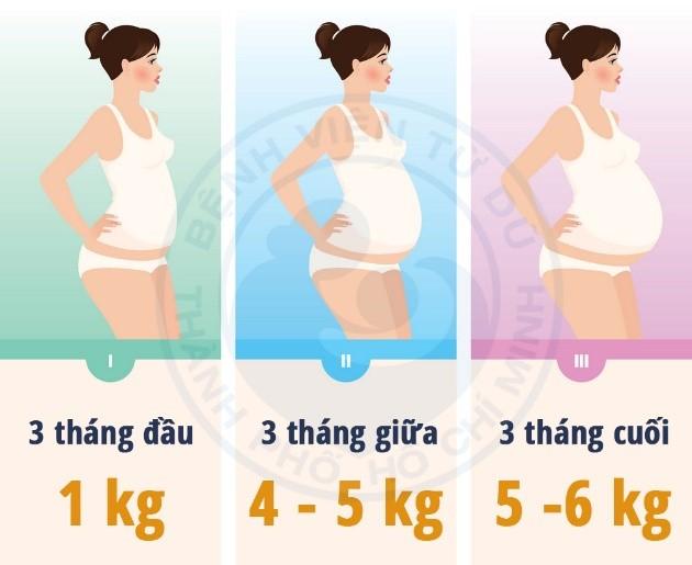 Đo chiều cao, cân nặng là một bước trong thực hành khám thai