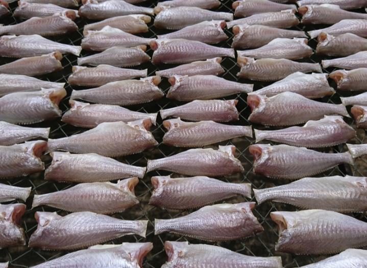 Công đoạn phơi cá lù đù