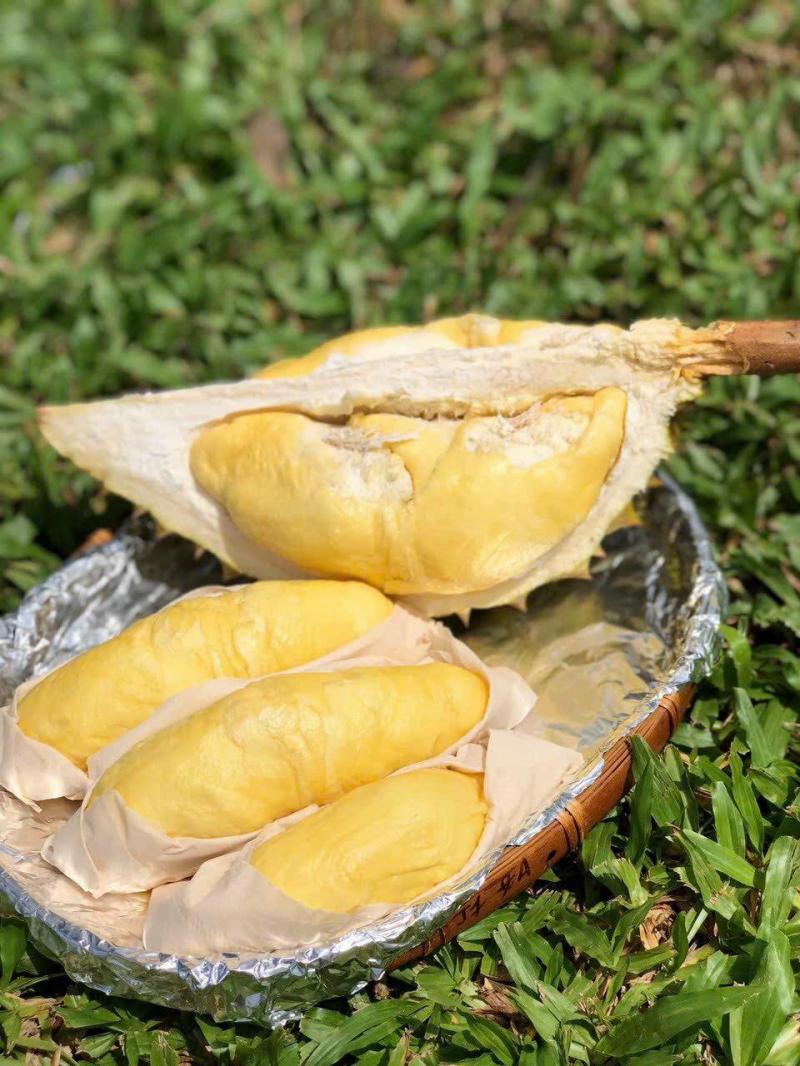 One Fruit