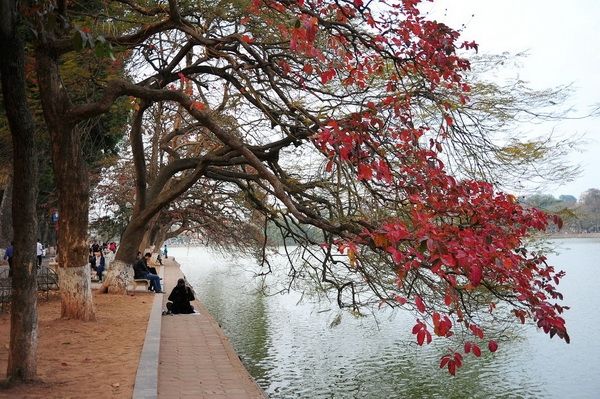 Một góc Hồ Gươm