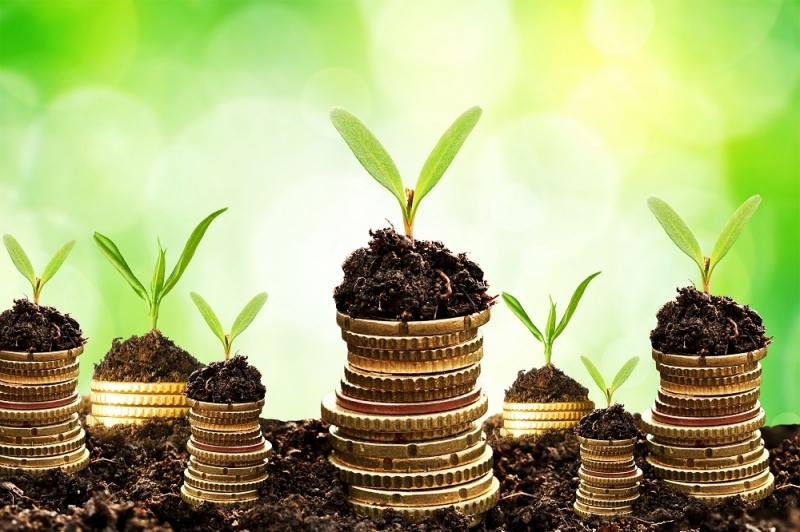 Đầu tư để tạo ra nhiều tiền hơn