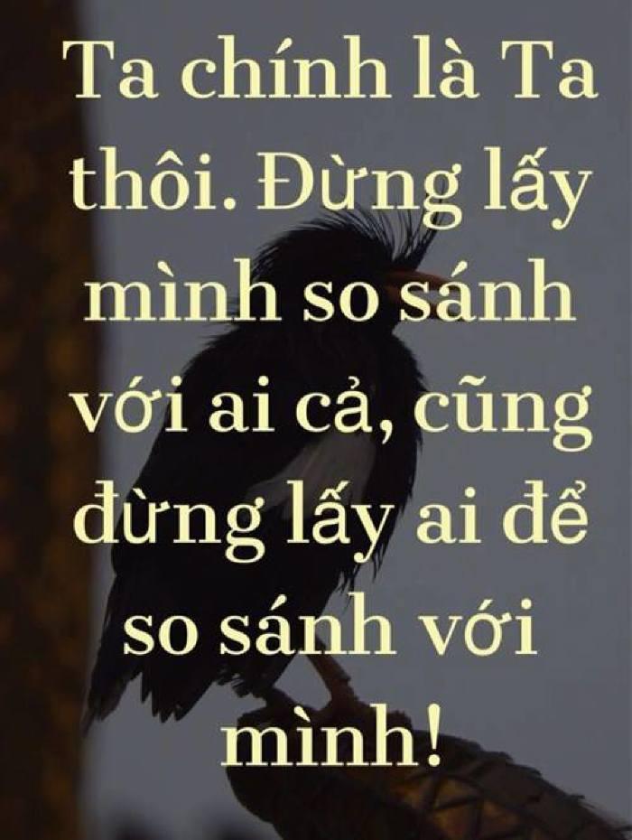 Việc so sánh sẽ không giúp bạn giải quyết được vấn đề.