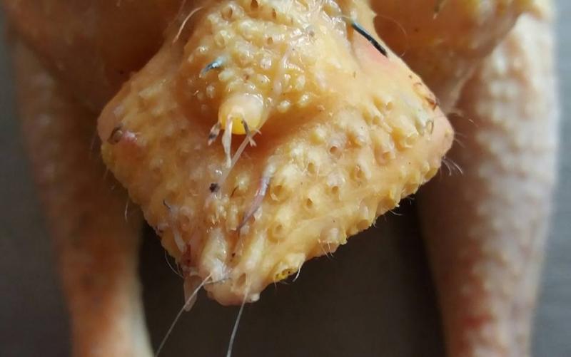 Ảnh tự chụp