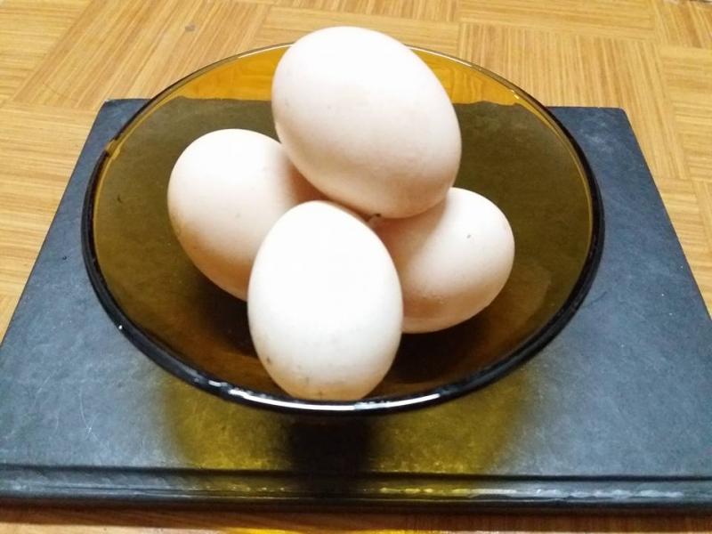 Ảnh tự chụp