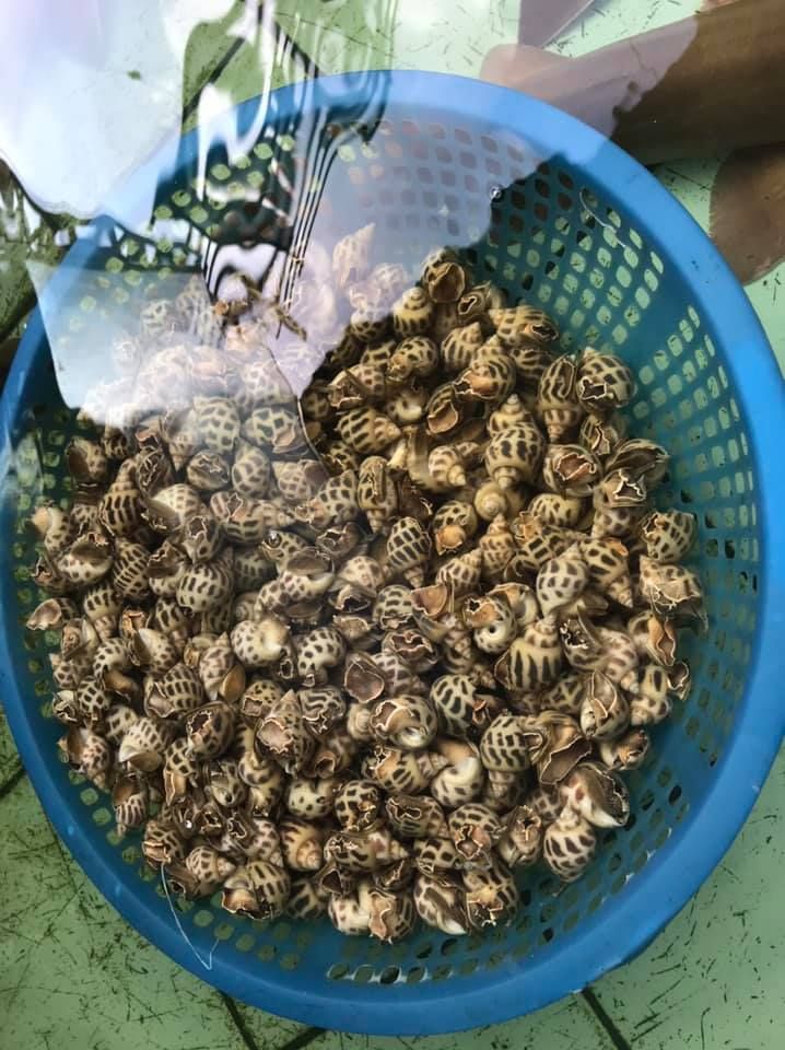 Khu Ẩm Thực Lộc Huệ
