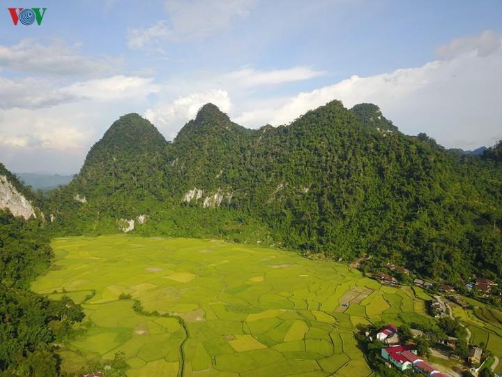 Khu Bảo Tồn Thiên Nhiên Kim Hỷ Bắc Kạn