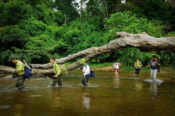Khu bảo tồn thiên nhiên Kon Chư Răng hấp dẫn du khách
