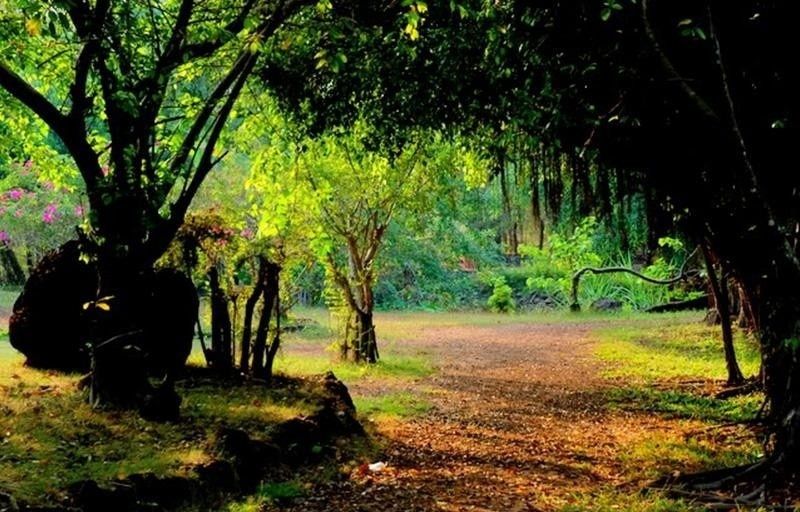 Ngả mình vào một góc nhỏ lãng mạn ở Khu Du Lịch Cao Minh