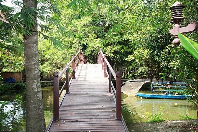 Khung cảnh xung quanh có nhiều cây xanh, gần gũi với thiên nhiên