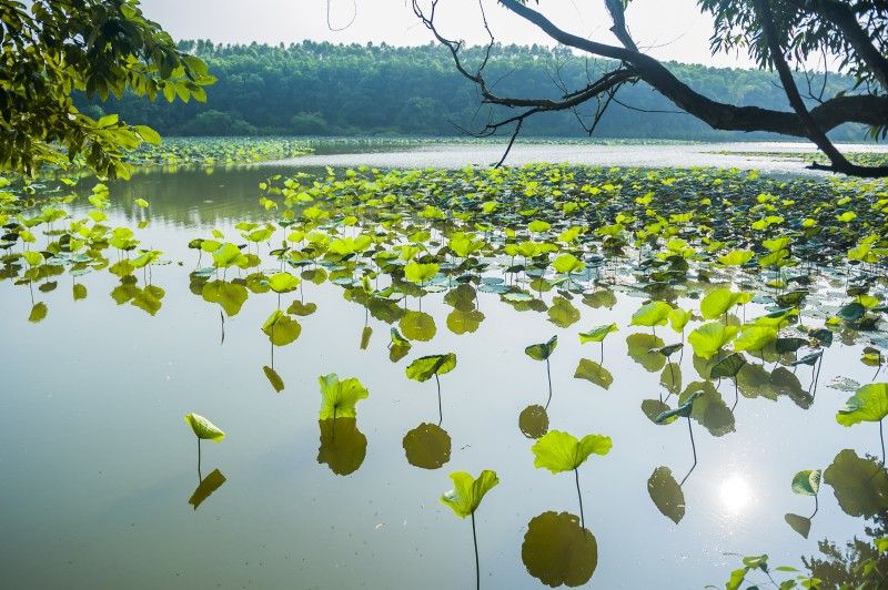 Khu du lịch sinh thái Đầm Long