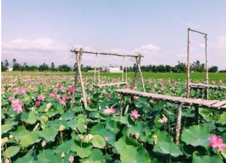 Khu du lịch sinh thái Đồng Sen Tháp Mười