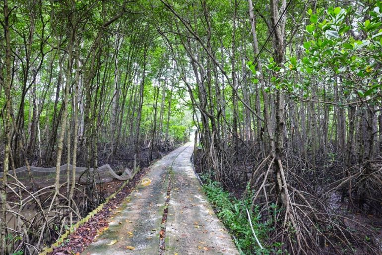 Khu du lịch sinh thái Rừng Đước