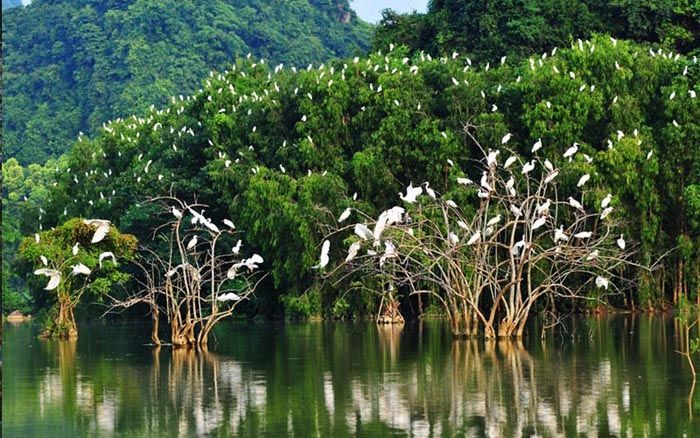 Khu du lịch sinh thái Tân Long