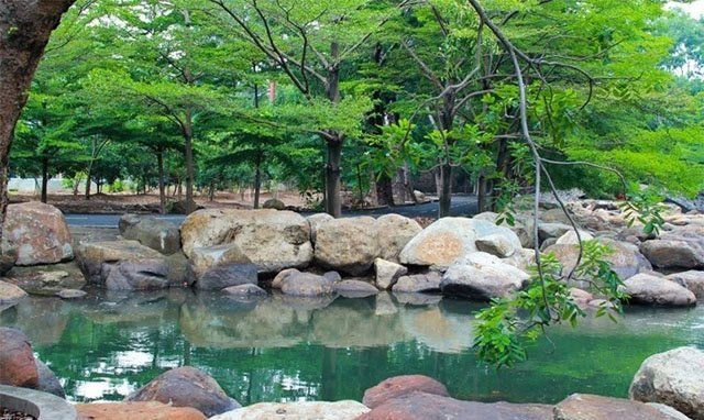 Anh về Bình Dương