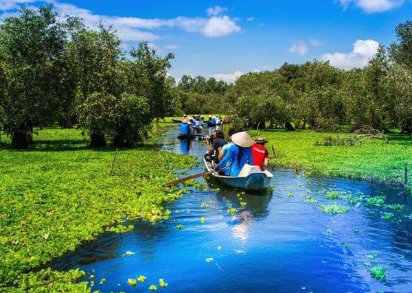 Những điểm đến đáng được lưu ý khi bước vào khu du lịch Vàm Sát chính là : sân chim Vàm Sát, Đầm Dơi và Tháp Tang Bồng