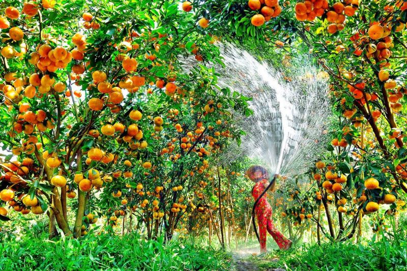 Khu sinh thái Mỹ Khánh