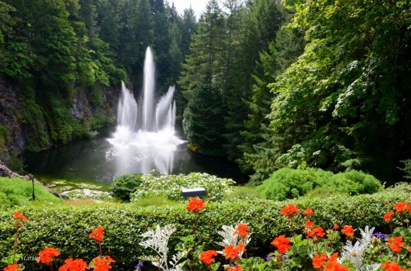 Khu vườn Butchart tại Canada