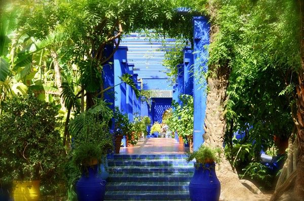 Khu vườn Jardin Majorelle tại Ma-rốc