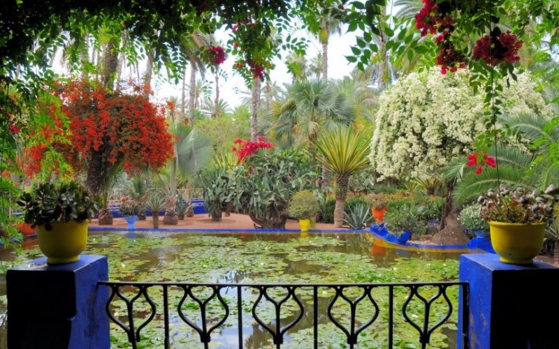 Khu vườn Jardin Majorelle tại Ma-rốc