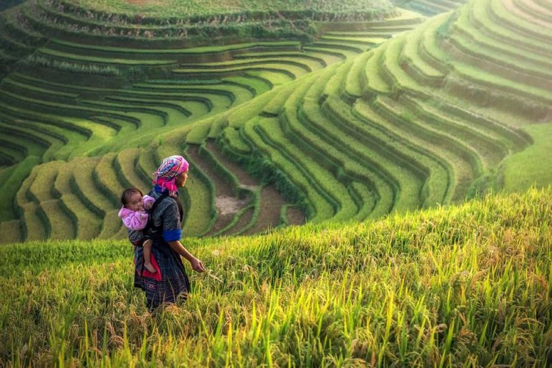 Khúc hát ru những em bé lớn trên lưng mẹ
