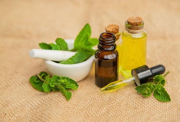 Kích thích khứu giác của bạn bằng hương thơm của bạc hà