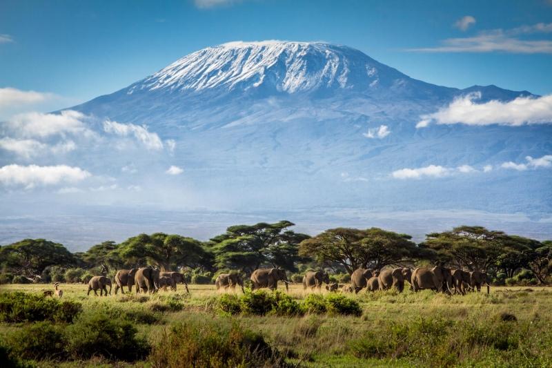 Đỉnh Kilimanjaro