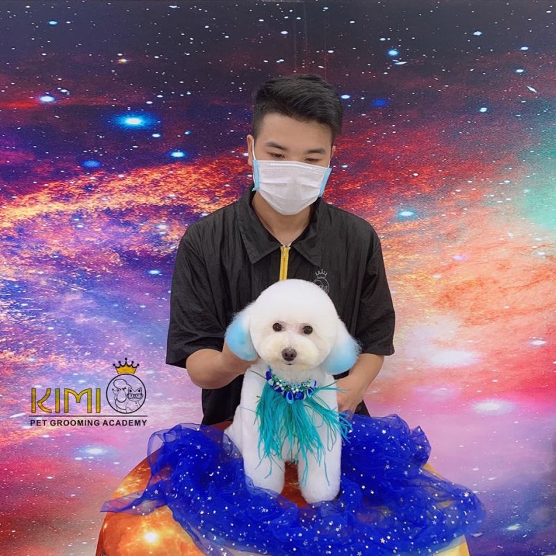 Kimi Pet - Thế Giới Thú Cưng