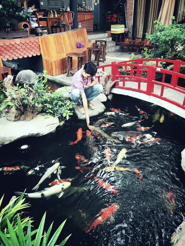 Koi Garden Coffee
