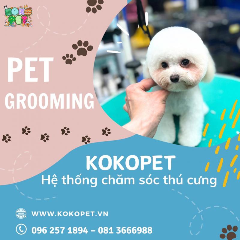 Koko Pet