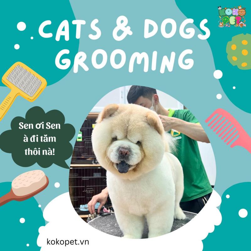 Koko Pet