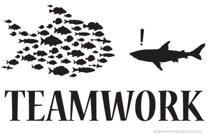 Kỹ năng làm việc nhóm - teamwork