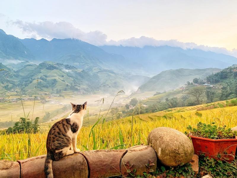 Lá Dao Spa & Coffee House, Homestay