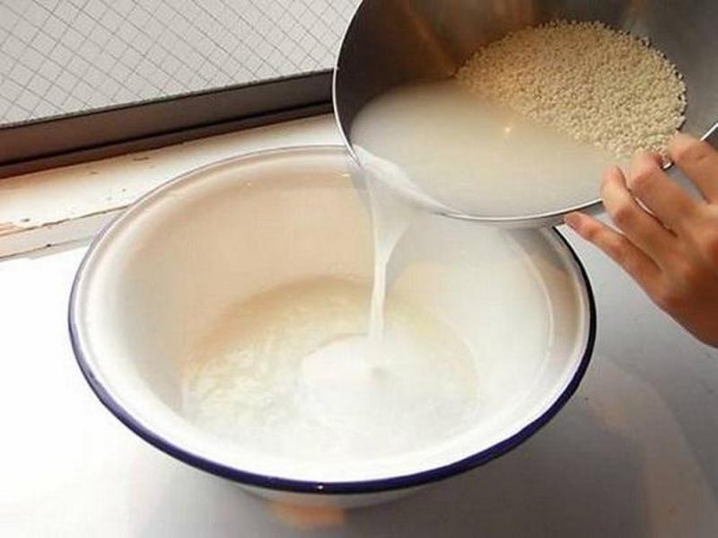 Nước vo gạo trộn chung với lá diếp cá