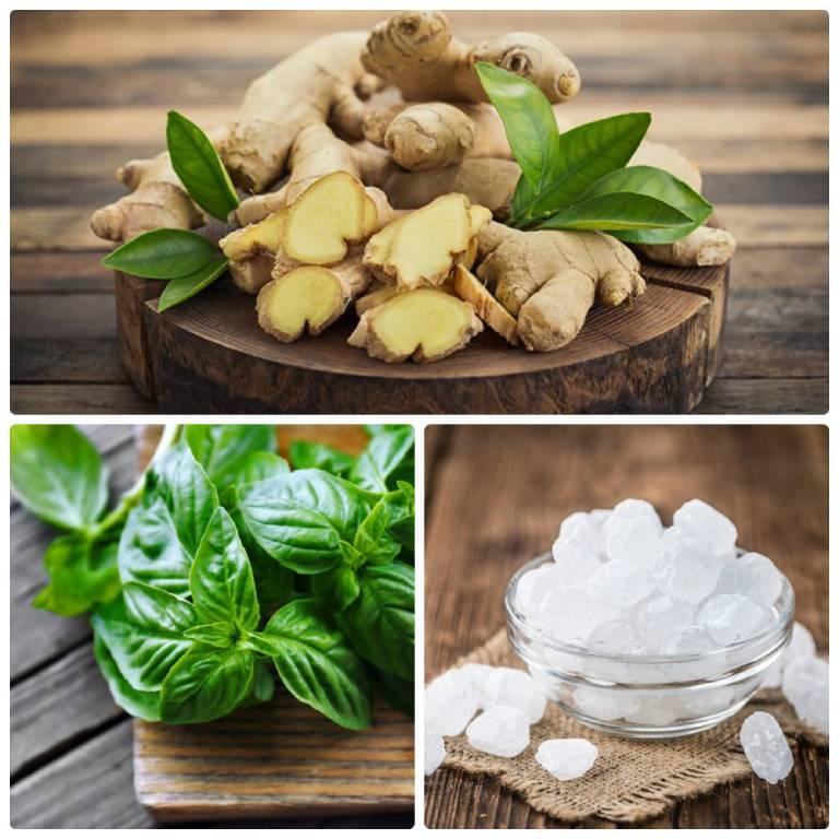 Lá húng quế, gừng, đường phèn có thể hỗ trợ trị ho dị ứng ở trẻ