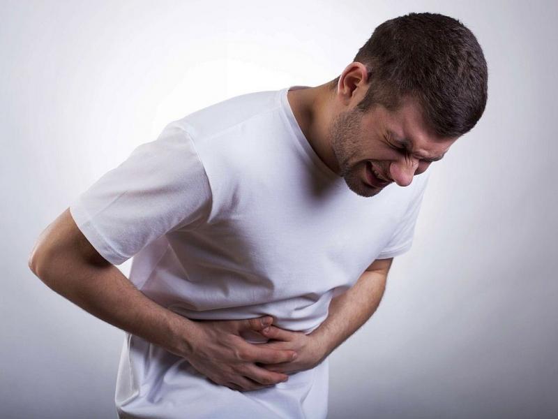 Lá khôi tía chữa viêm hang vị dạ dày