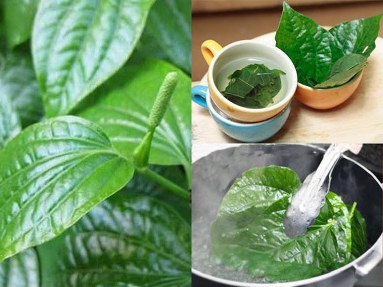 Súc miệng với nước lá lốt giúp chữa đau nhức răng