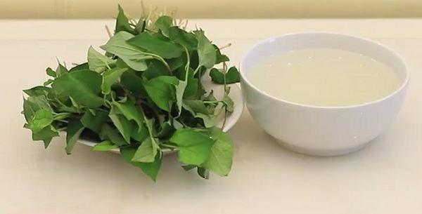 Rau diếp cá và nước vo gạo trị ho cho bé