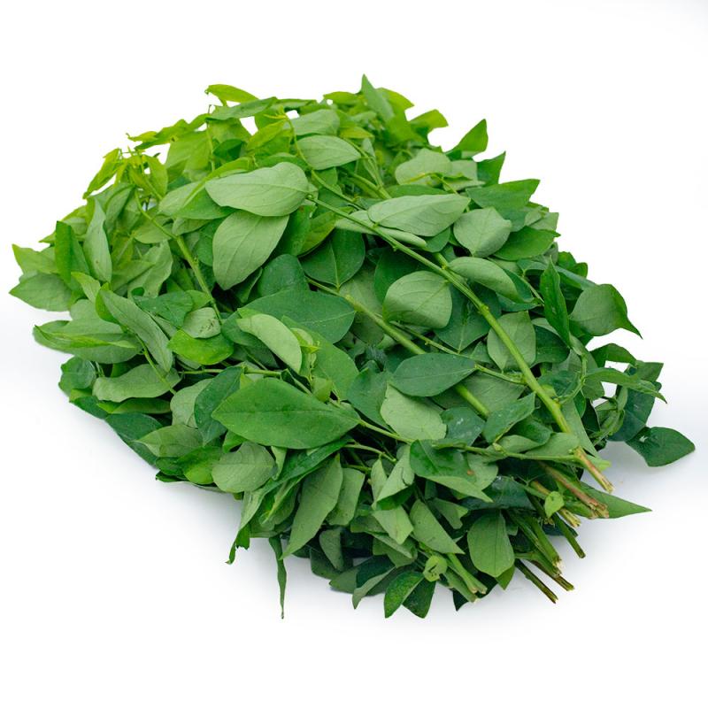 Chữa nhiệt miệng bằng rau ngót
