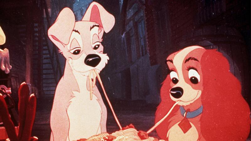 Câu chuyện tình yêu lãng mạn của Lady and The Tramp