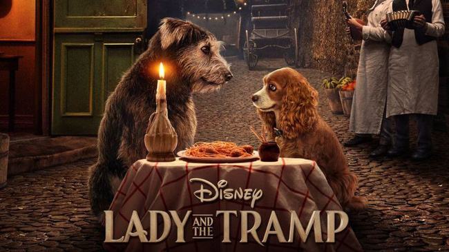 Lady and the tramp