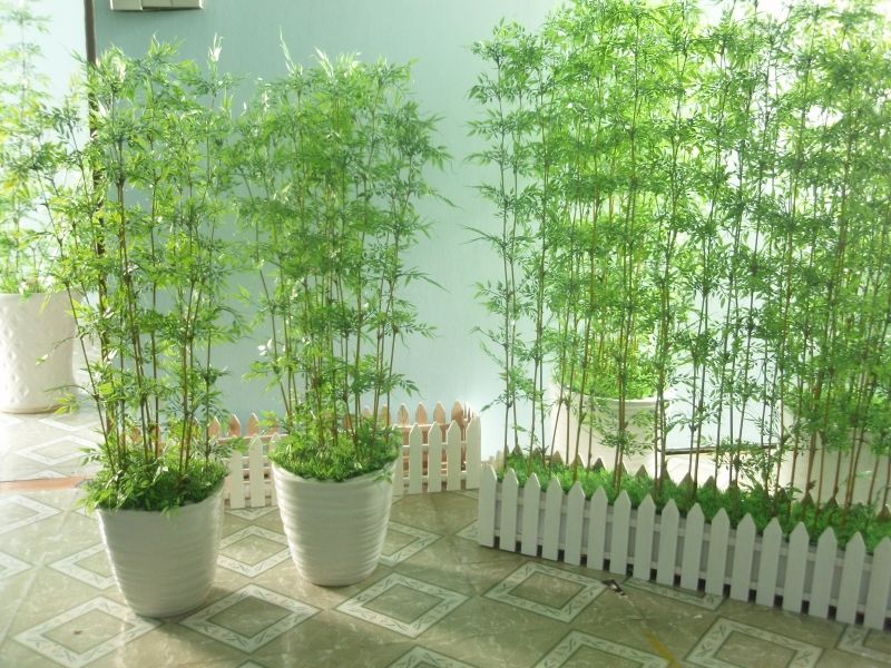 Đặt cây cảnh trong nhà để tạo không gian xanh mát