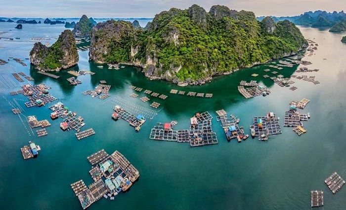 Chào Hạ Long