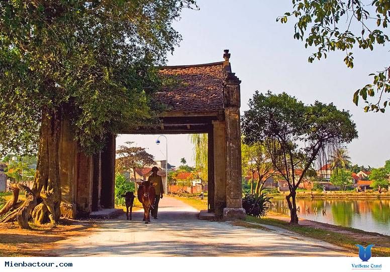 Làng cổ Đường Lâm