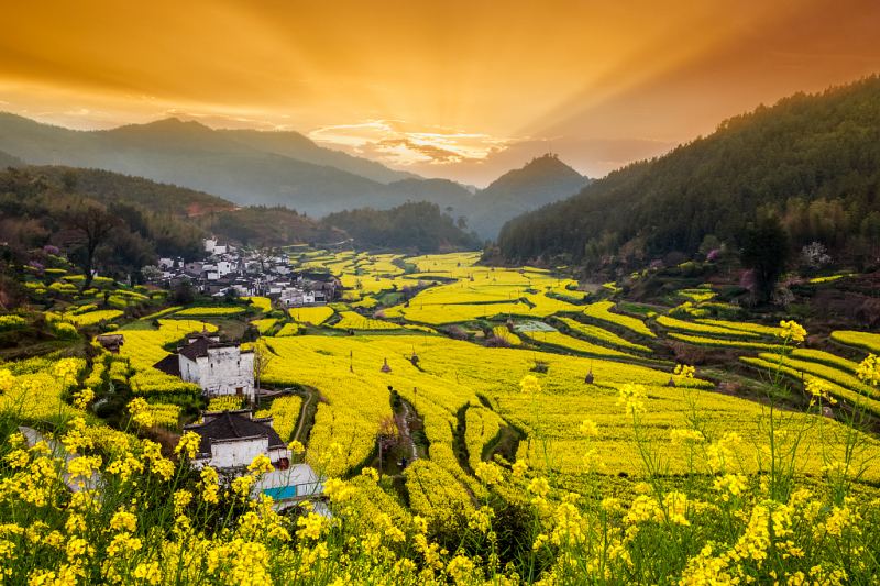 Làng cổ Wuyuan, Trung Quốc