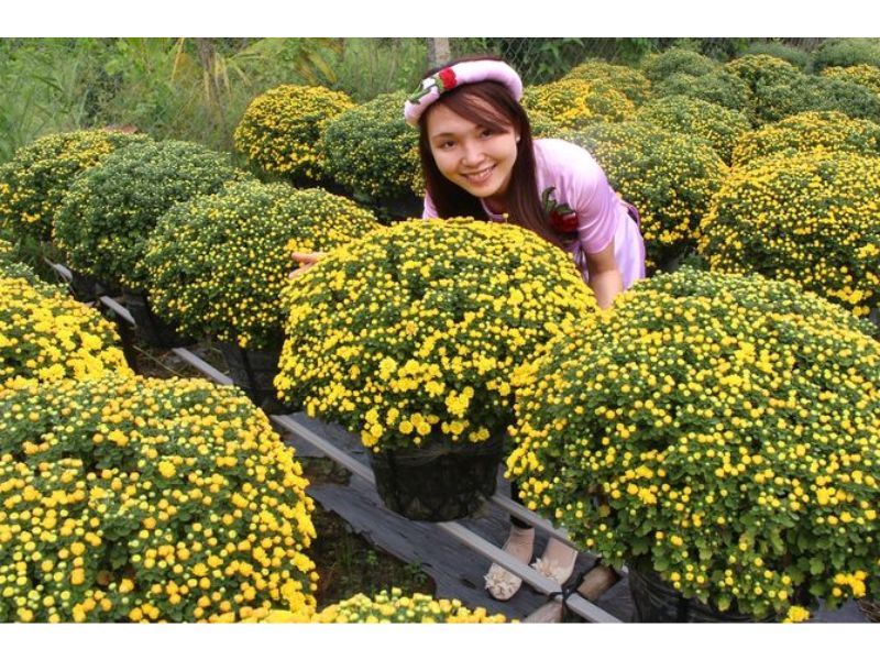 Làng hoa Thới Nhựt